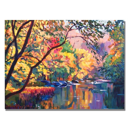 David Lloyd Glover 'Color Reflections' Canvas Art,24x32